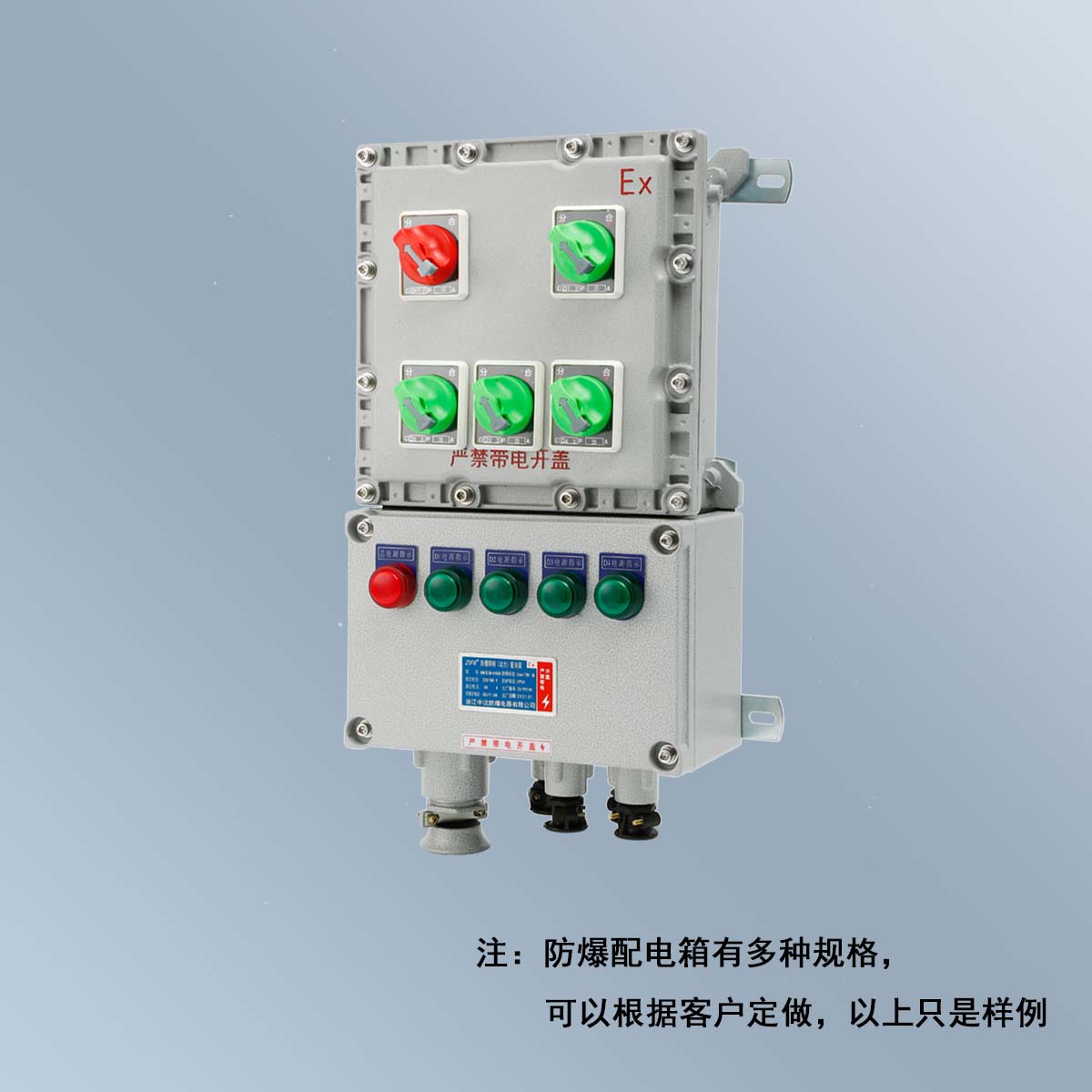BXM(D)58 系列防爆照明(動(dòng)力)配電箱 (ⅡB、ⅡC、DIP)